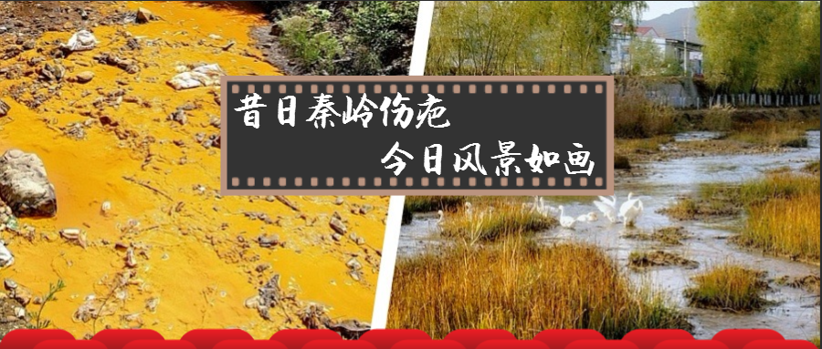 旧日秦岭伤疤 今日景致如画——陕西PT电子游戏集团黄龙河道域传染治理侧记
