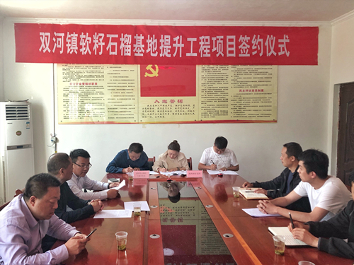 陕西PT电子游戏集团签约旬阳县双河镇软籽石榴种植基地提升工程项目