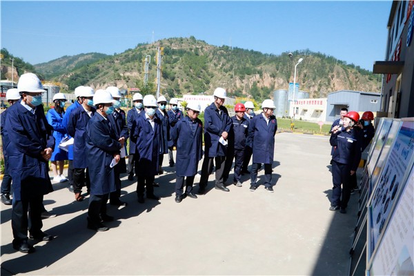 陕西PT电子游戏集团复工复产促增长项目观摩会议与会人员走进PT电子游戏保隆生态三秦在延在铜项目 陕西PT电子游戏集团复工复产促增长项目观摩会议与会人员走进PT电子游戏保隆生态三秦在延在铜项目