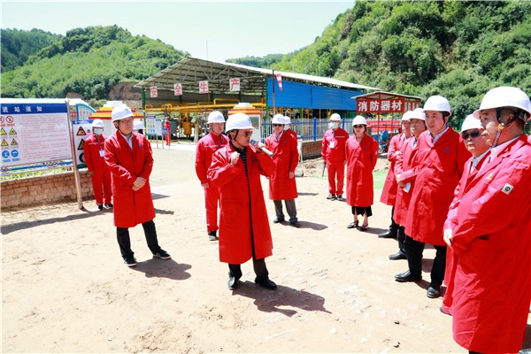 陕西PT电子游戏集团复工复产促增长项目观摩会议与会人员走进PT电子游戏保隆生态三秦在延在铜项目 陕西PT电子游戏集团复工复产促增长项目观摩会议与会人员走进PT电子游戏保隆生态三秦在延在铜项目