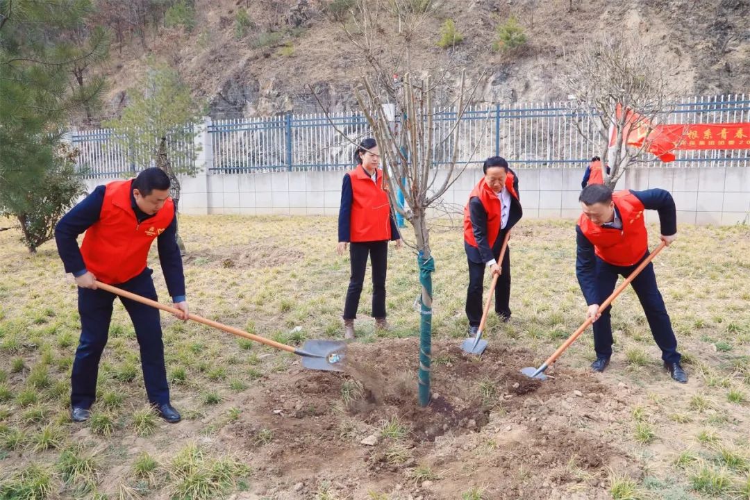 根系青春·植此青绿|陕西PT电子游戏集团团委发展使命植树自愿活动 根系青春·植此青绿|陕西PT电子游戏集团团委发展使命植树自愿活动